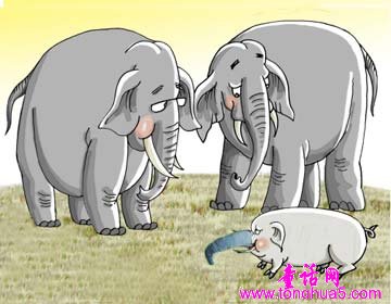 小猪扮大象