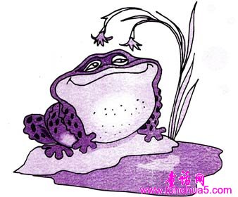 青蛙博士