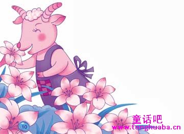 小蚂蚁安特