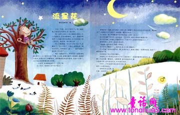流星花