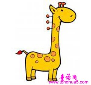 长颈鹿找朋友