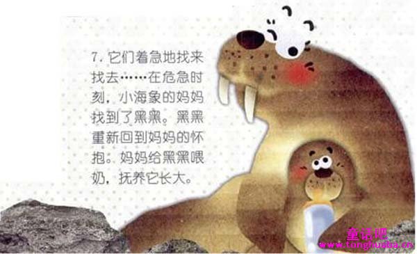 小海象黑黑历险记