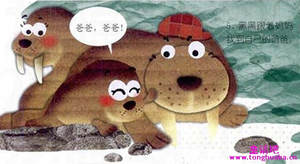 小海象黑黑历险记