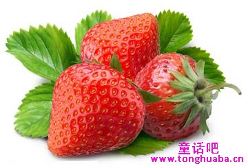 小熊种草莓