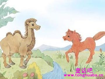 小骆驼和小红马