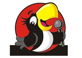 乌鸦小姐