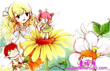 小仙子