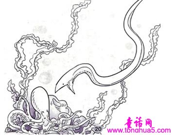 小章鱼历险记