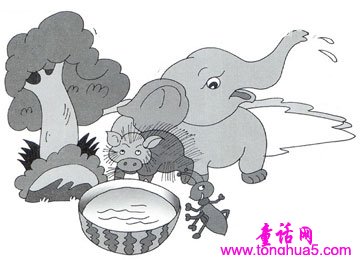 蚂蚁的游泳池