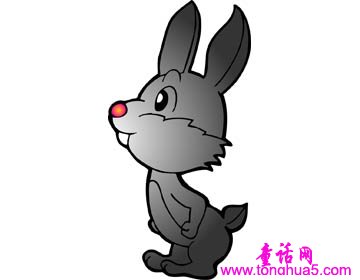 小兔