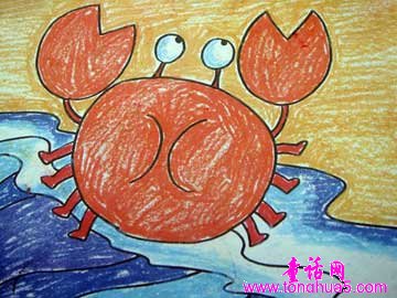小螃蟹