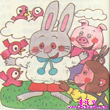 小灰兔