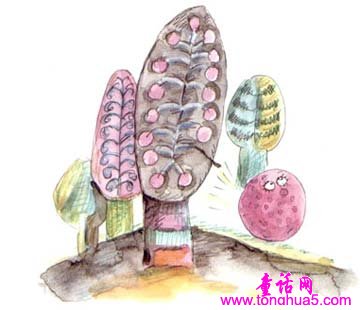朵朵的幸福