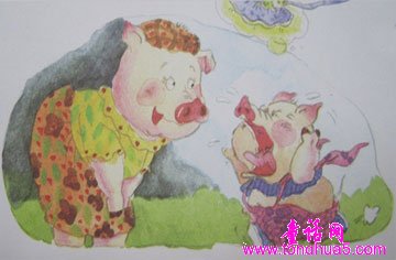 呼噜猪