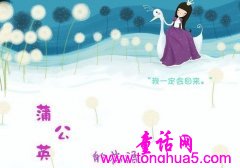 蒲公英