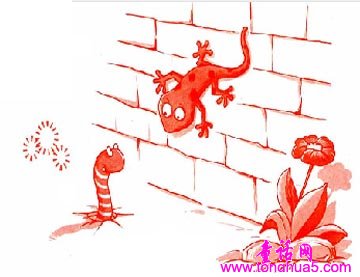 壁虎和蚯蚓