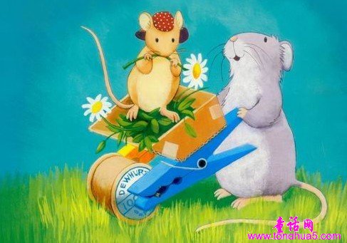 鼹鼠的花田