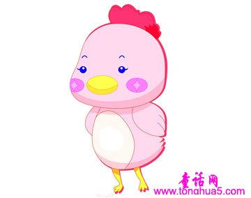 小鸡雏