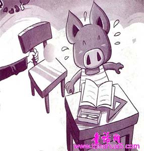小猪