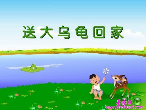 送大乌龟回家