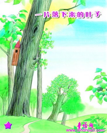 一片落下来的叶子
