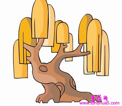 给大树理发