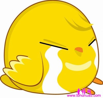 爱哭的小鸡