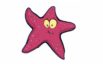 爱在海面跳舞的小海星