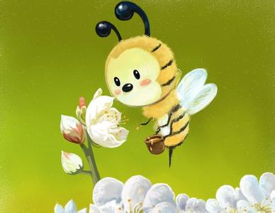 美丽的鲜花