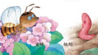 我还是喜欢采蜜