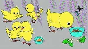 不爱吃青菜的鸡宝宝