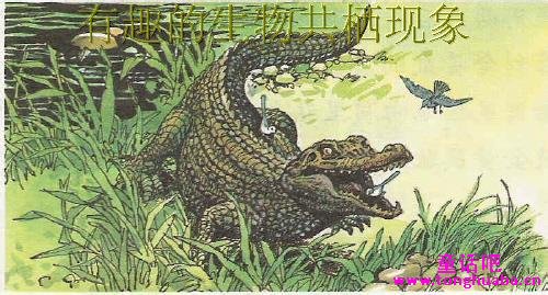燕千鸟的新工作