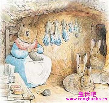 小兔彼得的故事