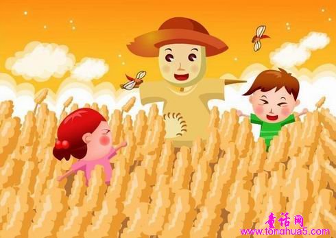 消失的稻草人