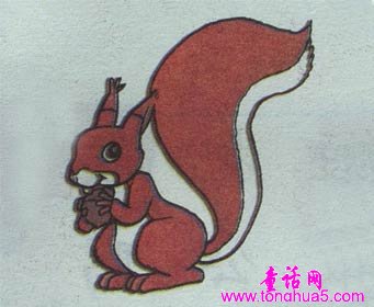松鼠