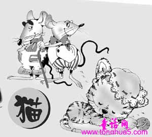 糊涂的猫