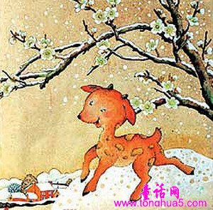 小鹿的斑纹