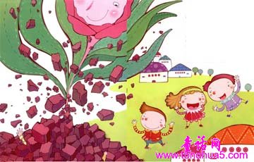 鲜艳的玫瑰