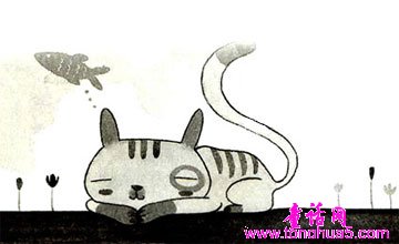 猫小帅