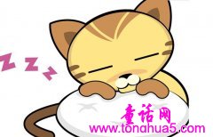 小猫咪与大老鼠