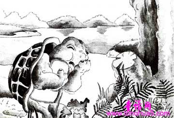 胖龟