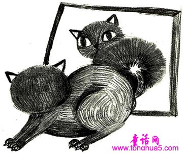 黑猫染发