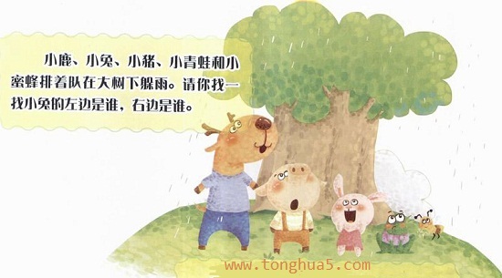 荷叶雨伞2