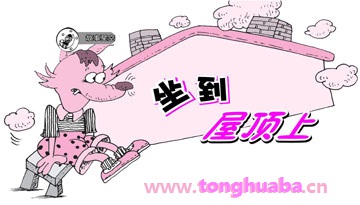 坐到屋顶上