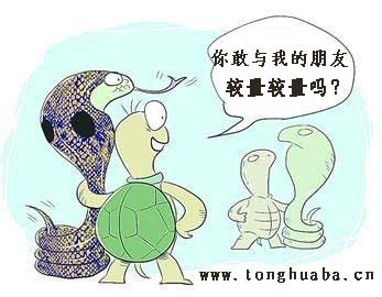 小乌龟和蛇