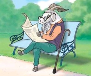 山羊老师的眼镜