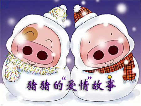 两只小猪的爱情故事