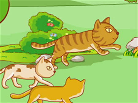 小花猫学本领的故事2