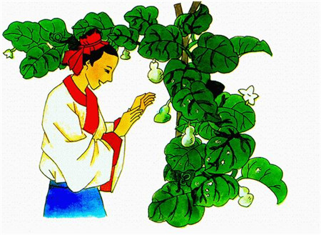 我要的是葫芦