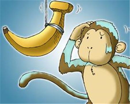 猴子和香蕉的故事
